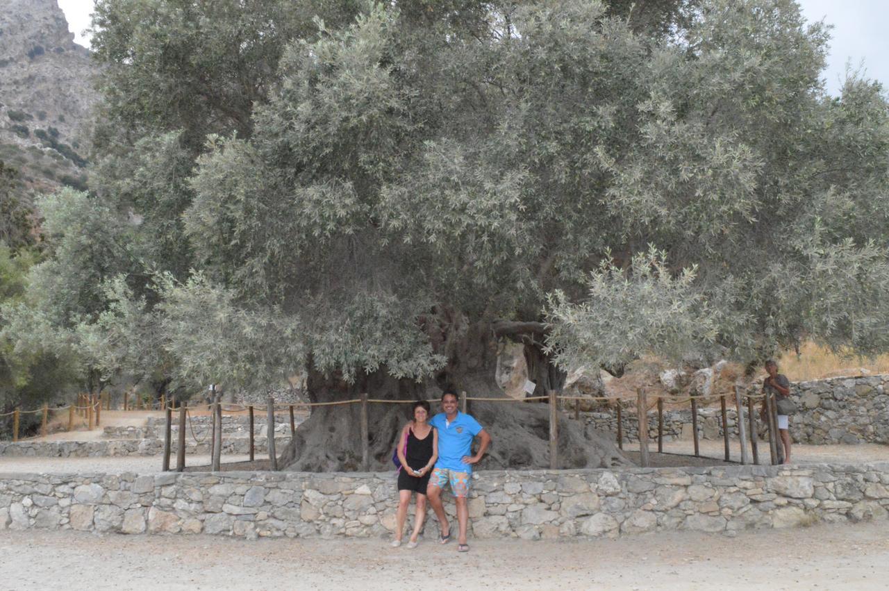 Tholos Rooms Kavousi  Exterior photo